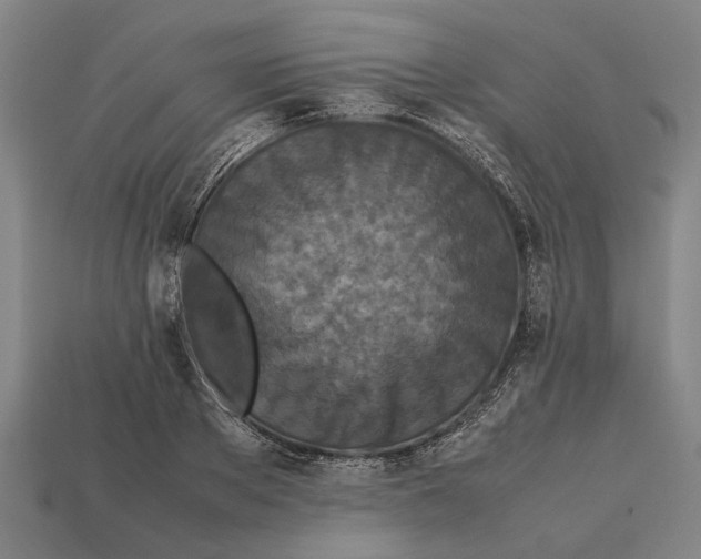 X0000113070889200909250927