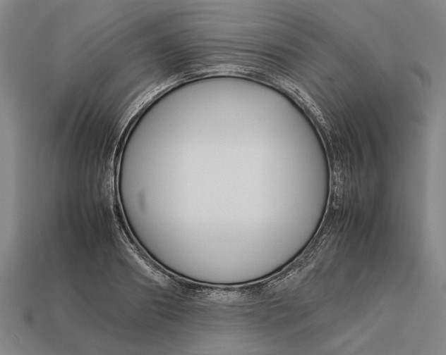 X0000113070890200909250927