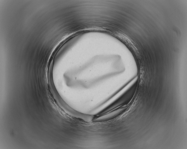 X0000113070892200909250927