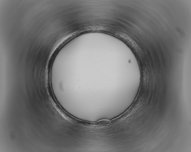 X0000113070894200909250927