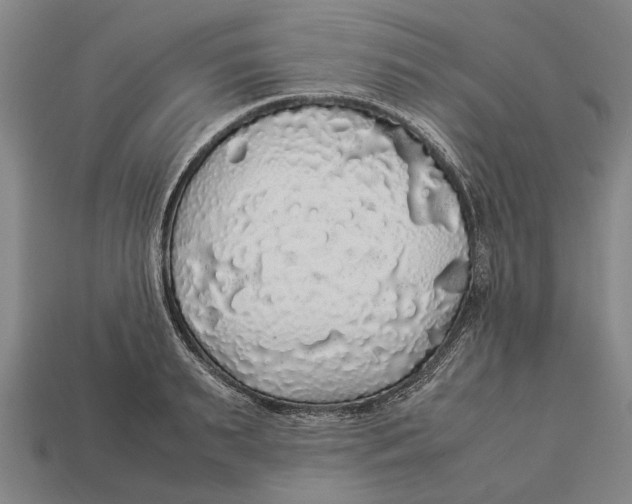 X0000113070895200909250927