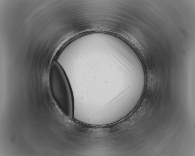 X0000113070896200909250927