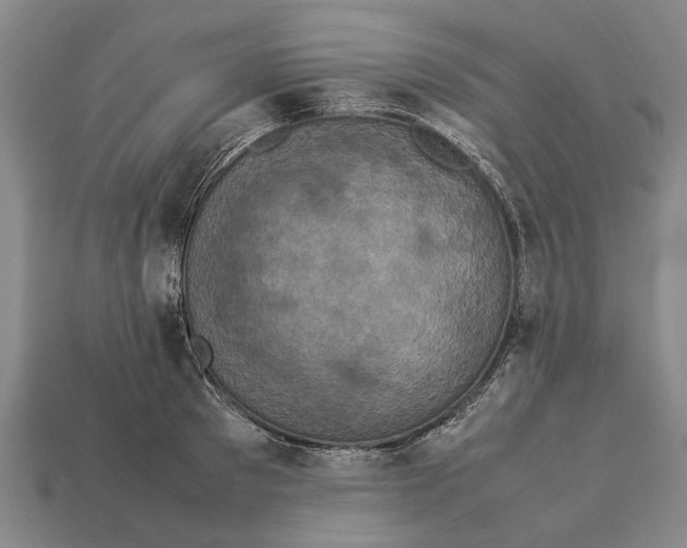 X0000113070897200909250927
