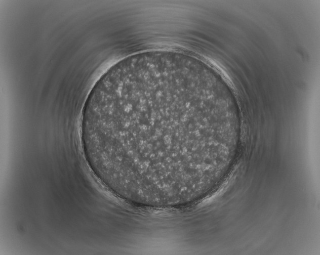 X0000113070899200909250926