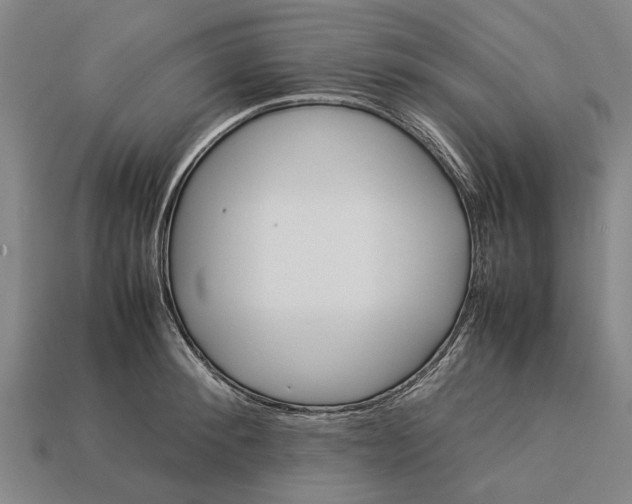 X0000113070900200909250926