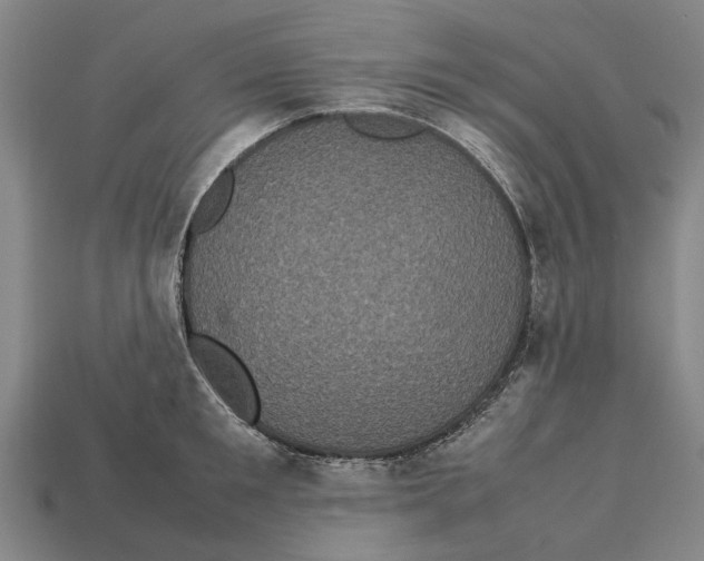 X0000113070901200909250926