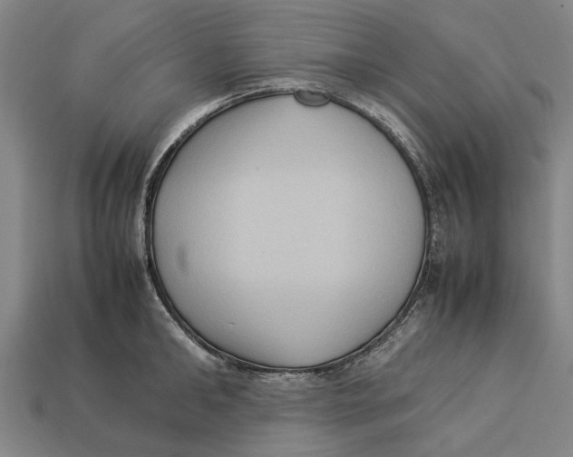 X0000113070902200909250926