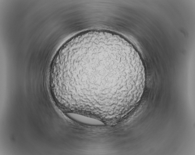 X0000113070903200909250926