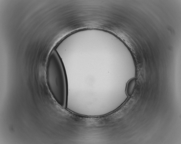 X0000113070904200909250926