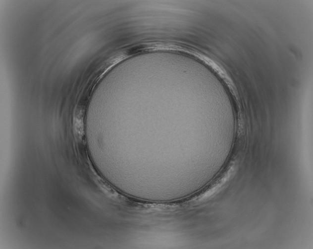 X0000113070905200909250926