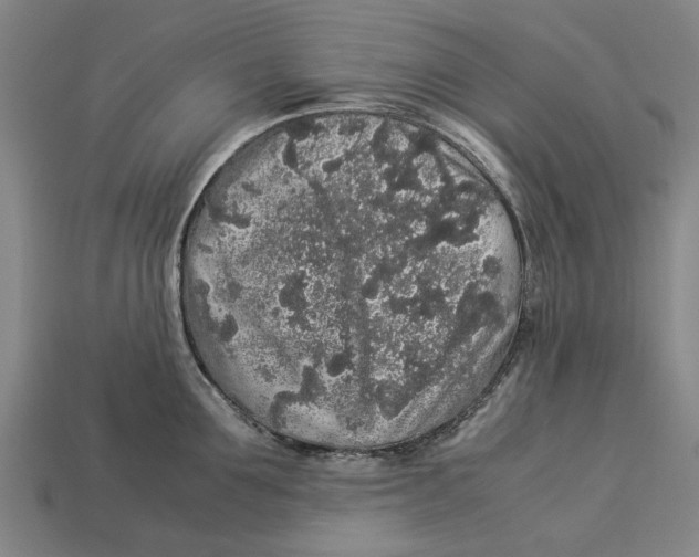 X0000113070907200909250926