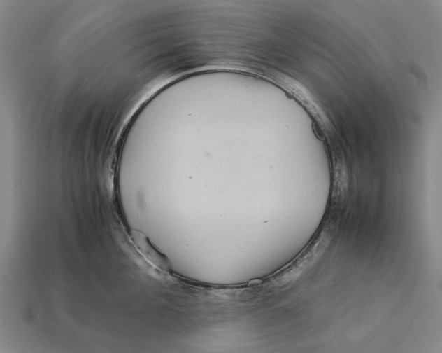 X0000113070908200909250926