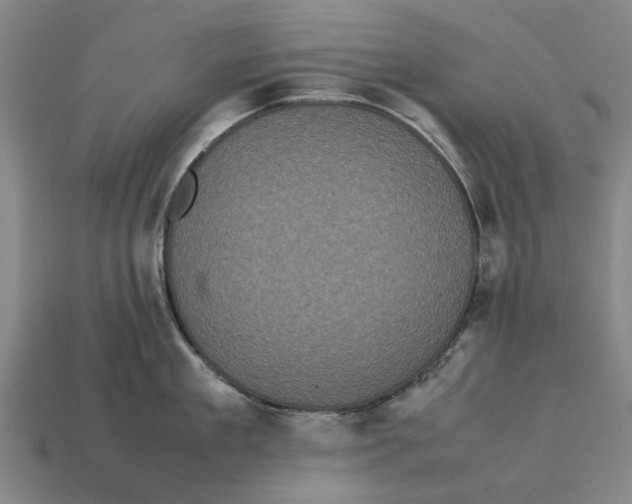X0000113070909200909250926