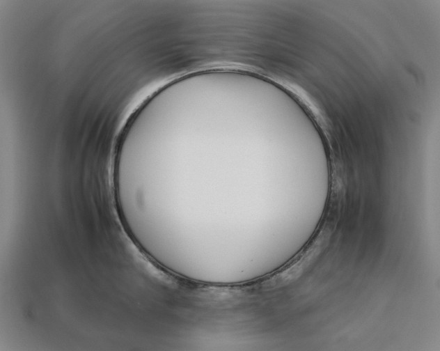 X0000113070910200909250926
