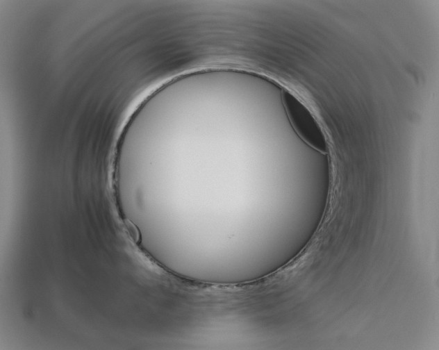 X0000113070912200909250926