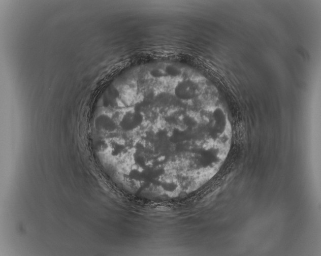 X0000113070913200909250926