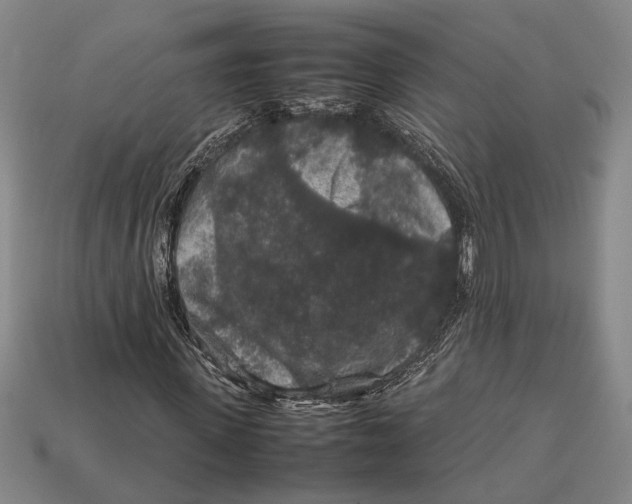 X0000113070915200909250926