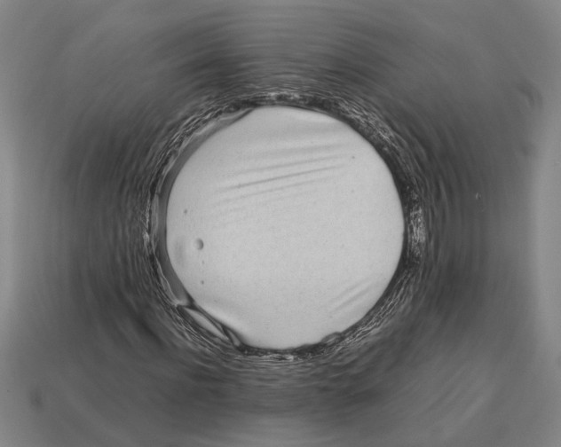 X0000113070916200909250926