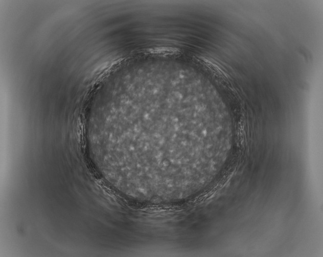 X0000113070917200909250926