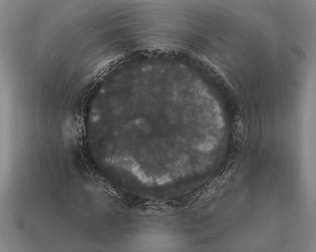X0000113070918200909250926