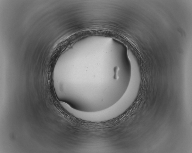 X0000113070920200909250926