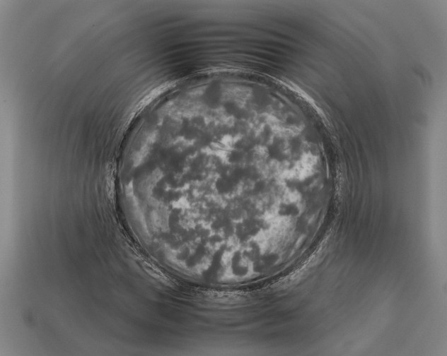 X0000113070921200909250926