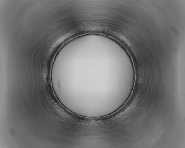 X0000113070922200909250926
