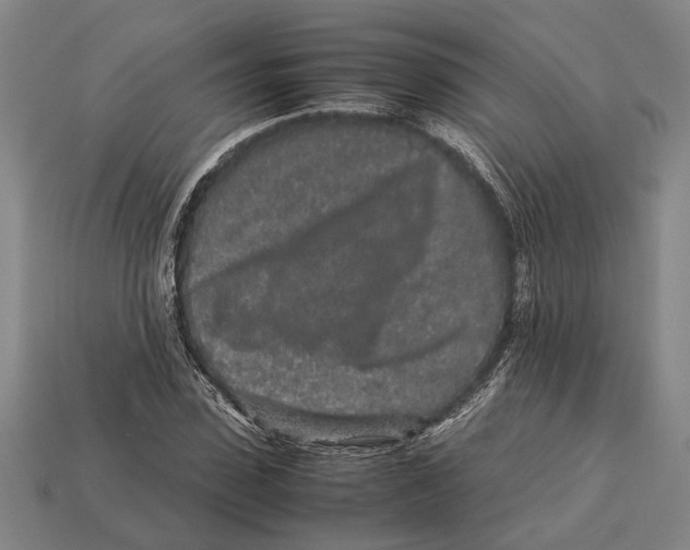 X0000113070923200909250926