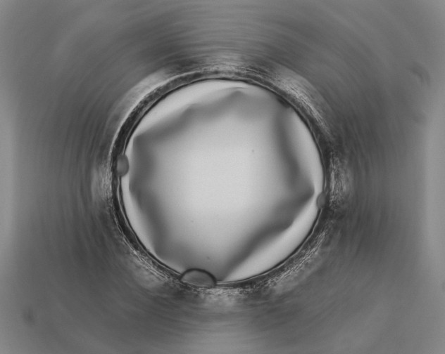 X0000113070924200909250926