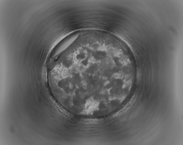 X0000113070925200909250926