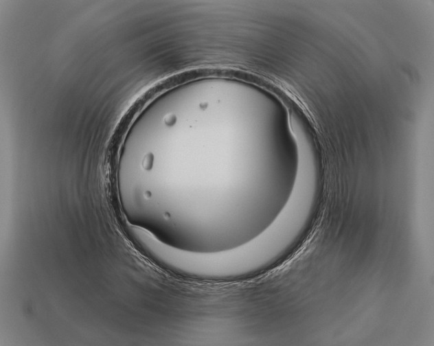 X0000113070926200909250926