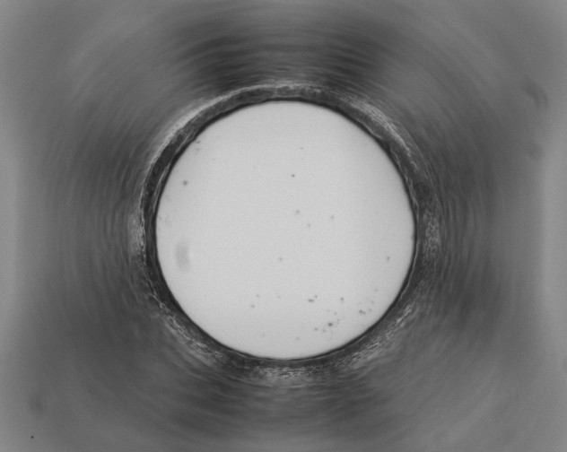 X0000113070927200909250926