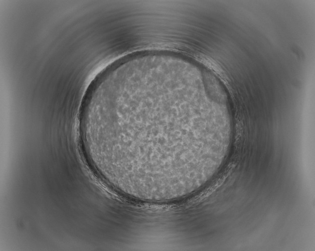 X0000113070928200909250926