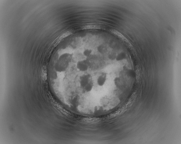 X0000113070929200909250926