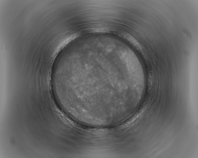 X0000113070930200909250926