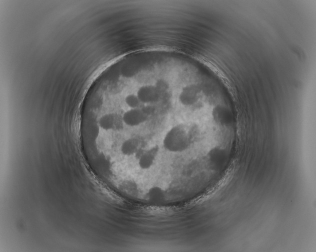 X0000113070933200909250926
