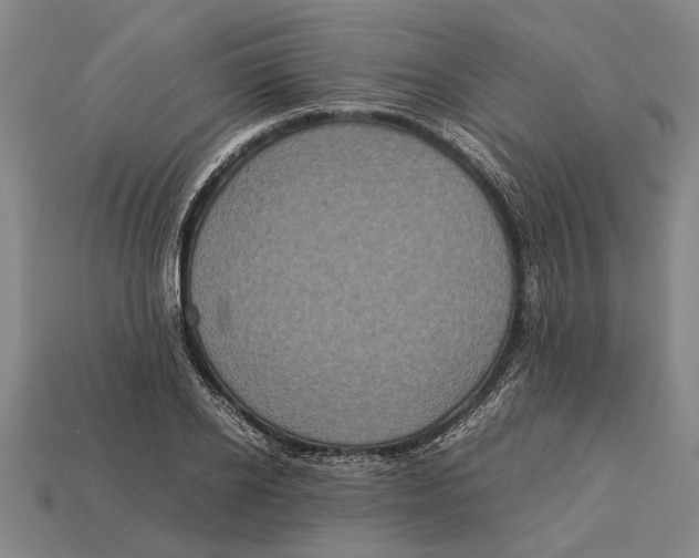 X0000113070934200909250926