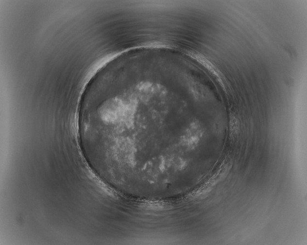 X0000113070935200909250926