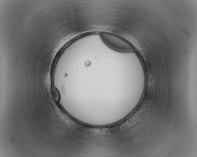 X0000113070936200909250926