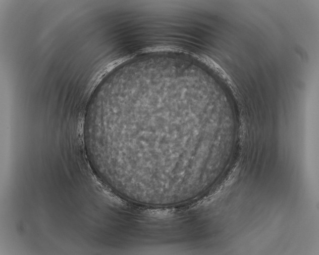 X0000113070937200909250926