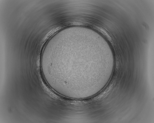 X0000113070938200909250926