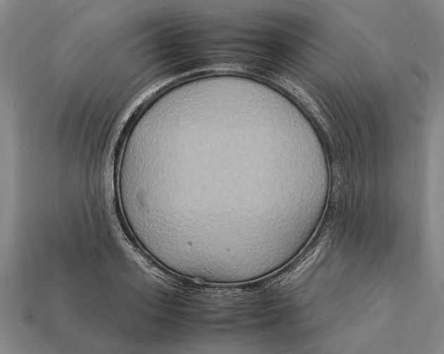 X0000113070939200909250926