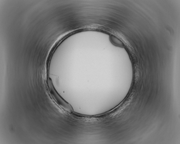 X0000113070940200909250926