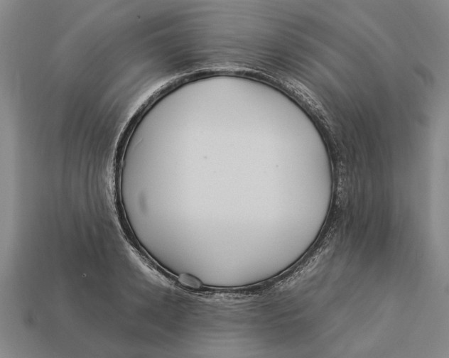 X0000113070942200909250926