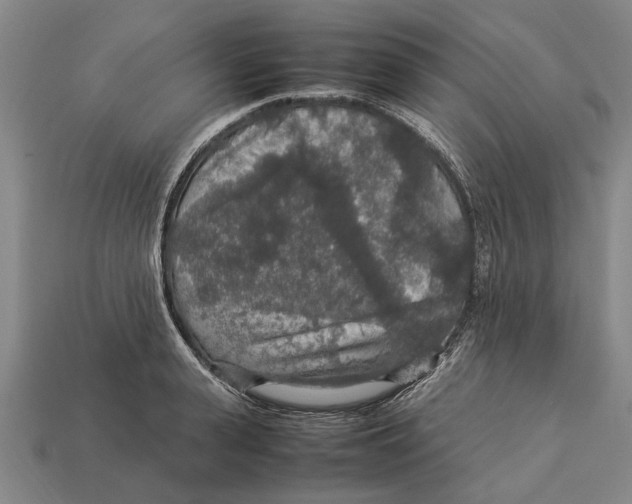 X0000113070943200909250926