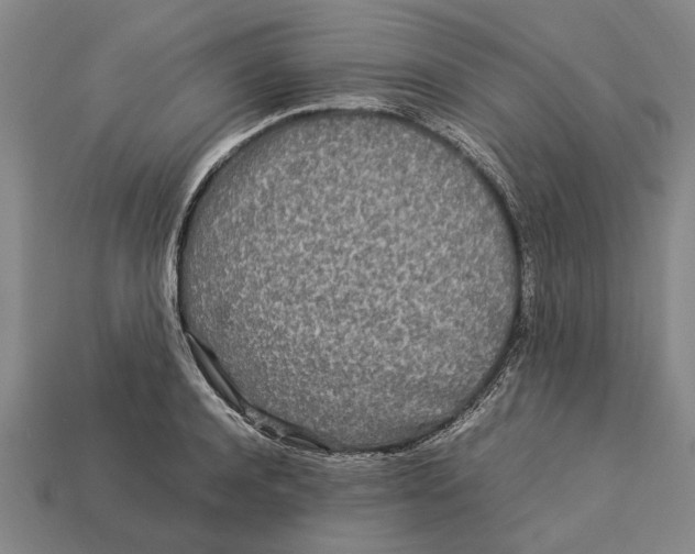 X0000113070944200909250926