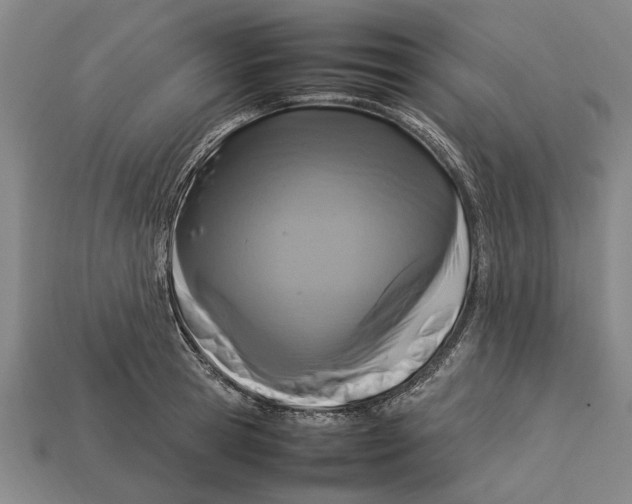 X0000113070945200909250926