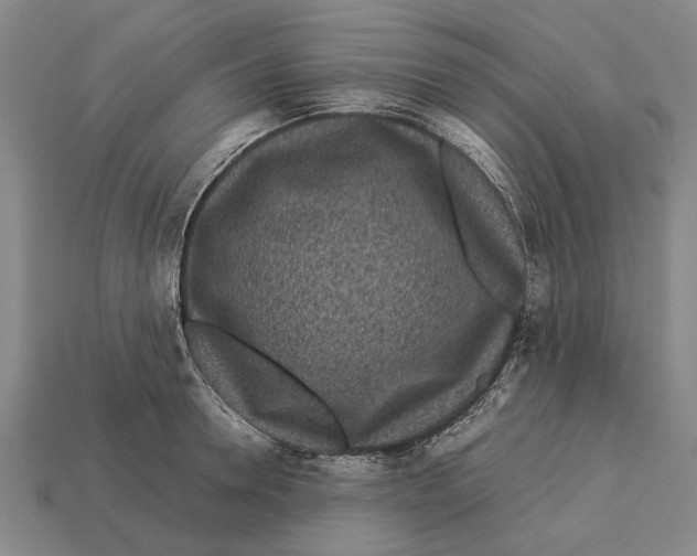 X0000113070946200909250926