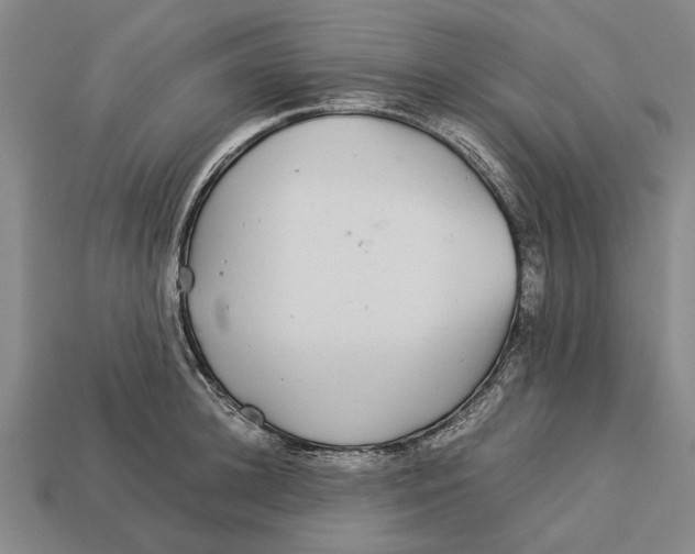 X0000113070948200909250926