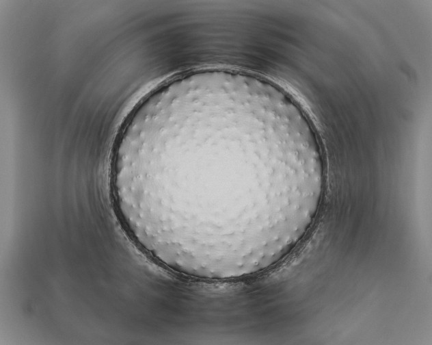 X0000113070949200909250926